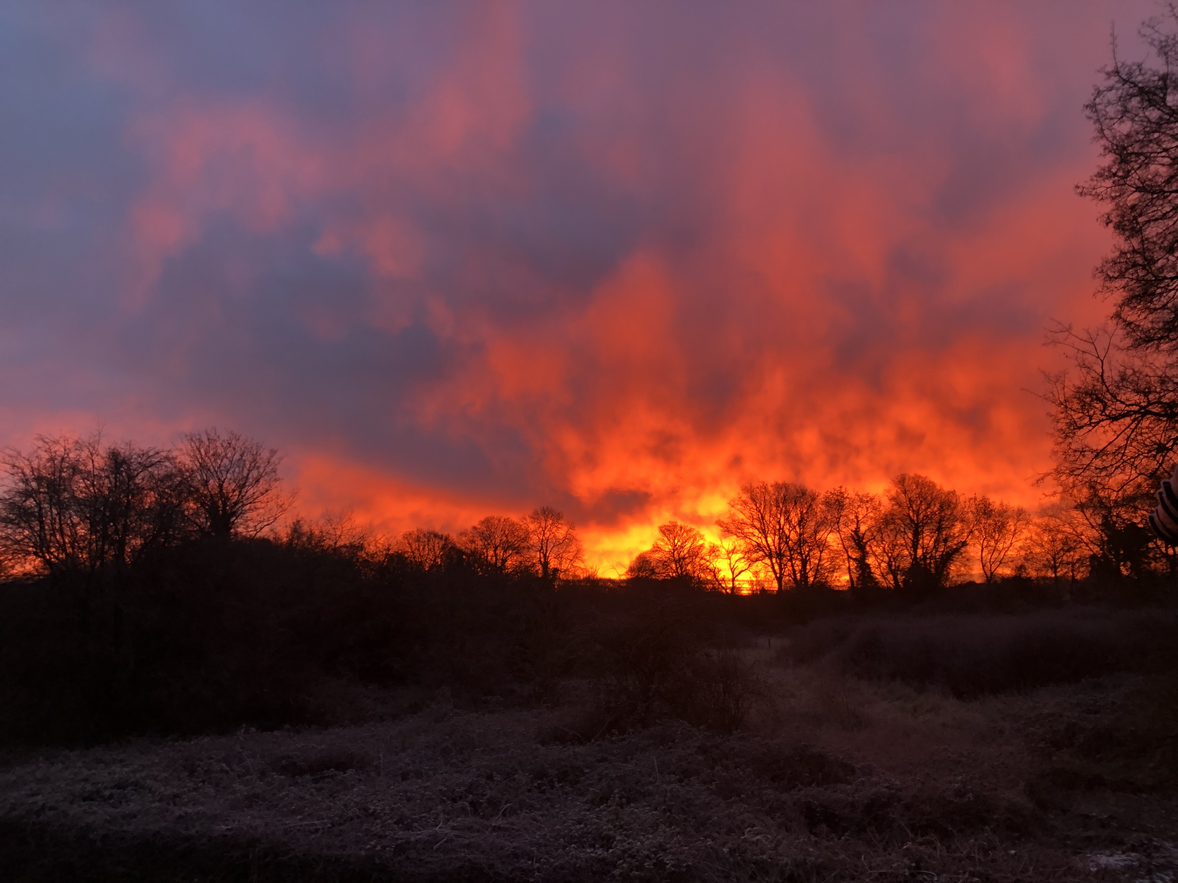 A frosty morning backyard sunrise